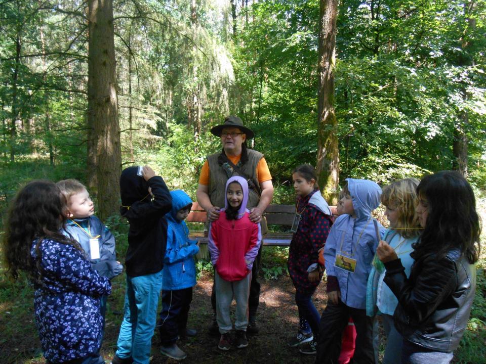 Wald-Erlebnis